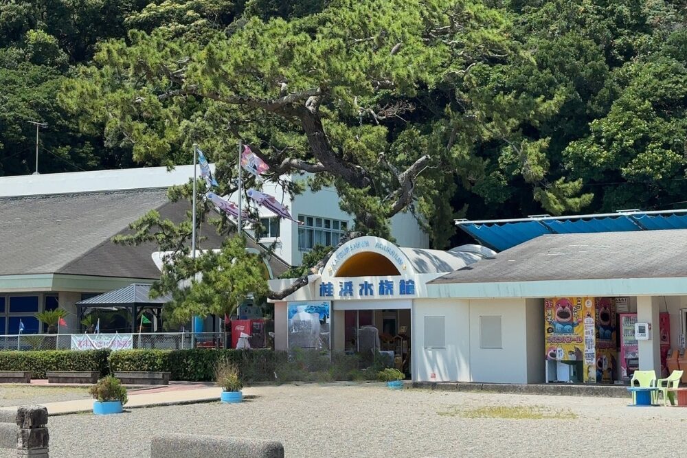 名称未設定のデザイン (26)