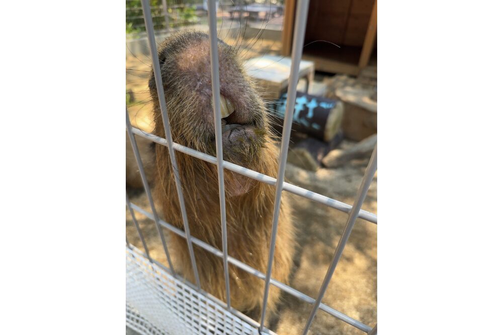 名称未設定のデザイン (29)