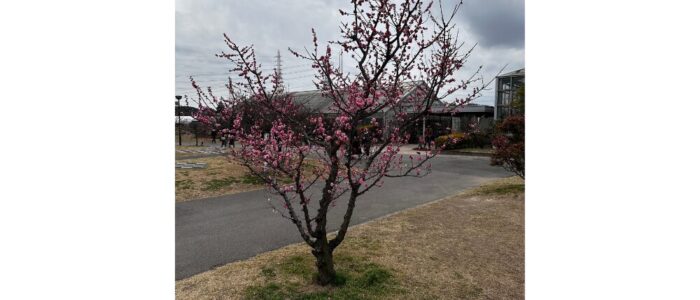 名称未設定のデザイン (18)