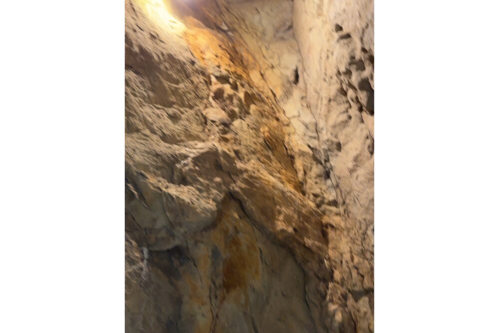 名称未設定のデザイン (21)